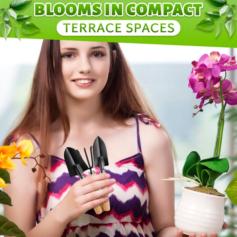 DIMROM Small Garden Tools - 3 Pcs Mini Garden Tools Set with Small Trowel, Mini Shovel & Hand Rake Made of Rust-Resistant Iron & Solid Wood - Indoor Gardening Tools Set for Succulent, Bonsai & Pot Plants - Image 5