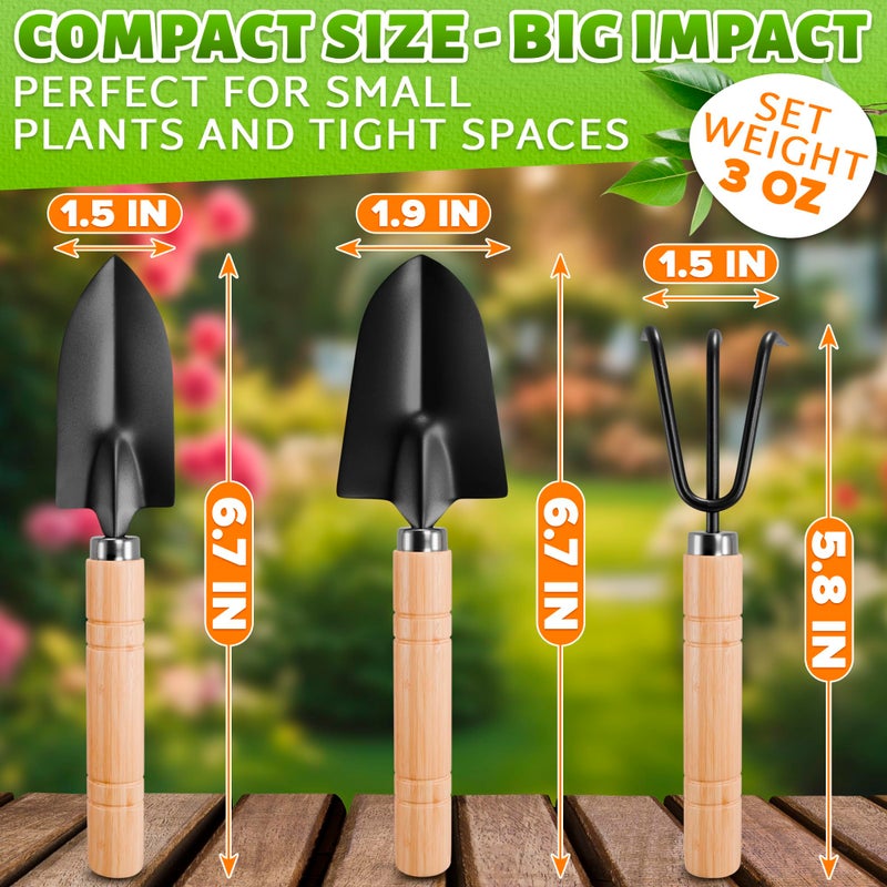 DIMROM Small Garden Tools - 3 Pcs Mini Garden Tools Set with Small Trowel, Mini Shovel & Hand Rake Made of Rust-Resistant Iron & Solid Wood - Indoor Gardening Tools Set for Succulent, Bonsai & Pot Plants - Image 2