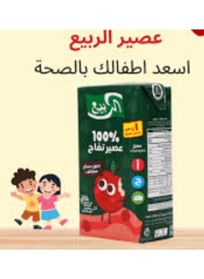 الربيع عصير تفاح الربيع طبيعي 100% - 120 مل (عبوة من 6 قطع) | بدون سكر مضاف وبدون مواد حافظة | سناك صحي مثالي للانش بوكس المدرسي - Image 2