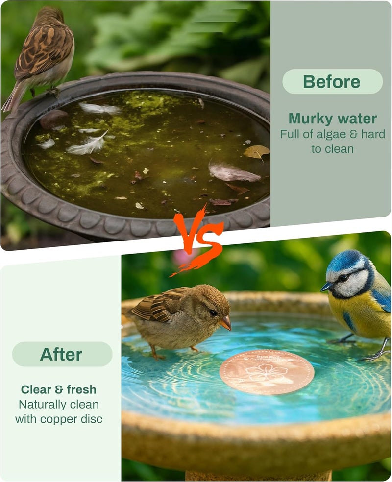 OICEME Bird Bath Purification Disc Pure Copper Backyard Outside Solar Power Wild Hummingbird Pedestal Fountain Cleaner Outside Humming Feeder Cage Dispenser Heater Ground Safe Garden Deal Lover Women Gift - Image 3