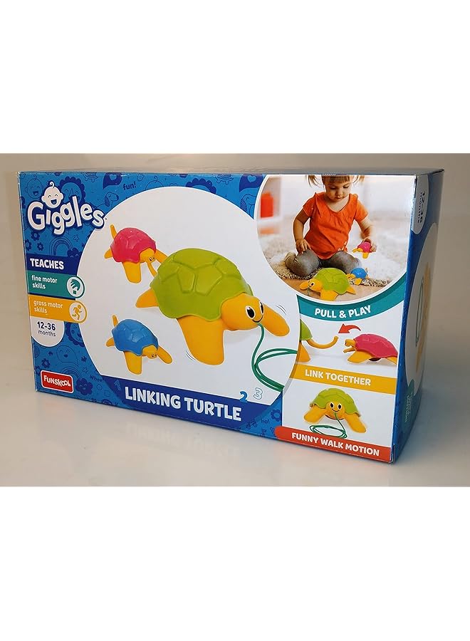 فنسكول ربط السلحفاة الجديدة متعددة الألوان مقاس قياسي 2120500