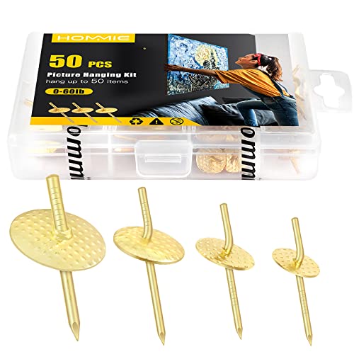 Hommie 50pcs Assorted One Step Hangers Iron Alloy Nail Hooks Photo Picture Frame Hangers Professional Plaster Picture Hanging Kit on Wooden/Drywall (10-60bls 50pcs) - Image 1