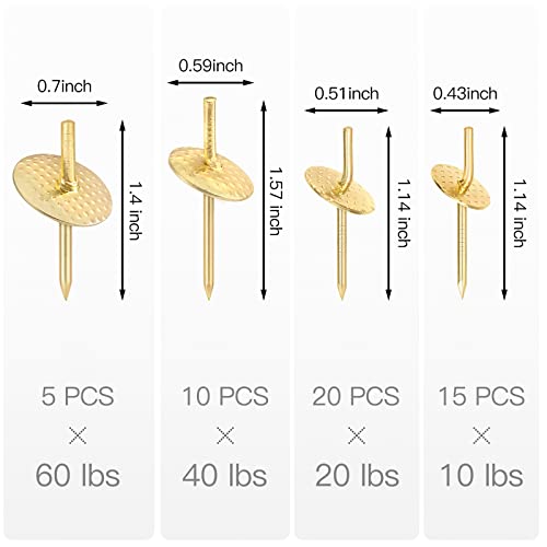 Hommie 50pcs Assorted One Step Hangers Iron Alloy Nail Hooks Photo Picture Frame Hangers Professional Plaster Picture Hanging Kit on Wooden/Drywall (10-60bls 50pcs) - Image 2