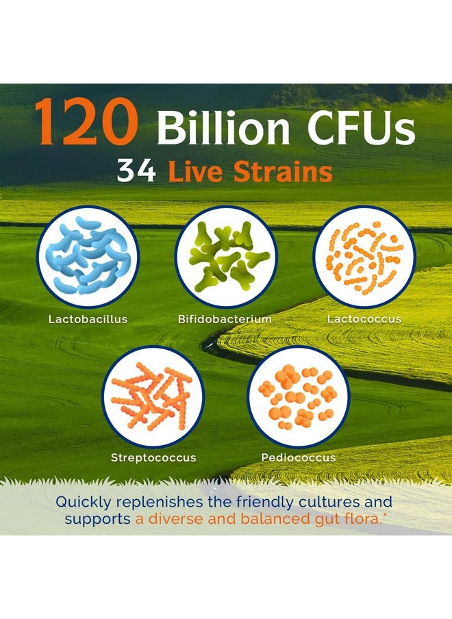 Innate Vitality - Probiotics 120 Billion Cfus 34 Strains With Organic Prebiotics & Digestive Enzymes Digestion & Immunity Health For Women & Men 3In1 Probiotics No Refrigeration Required Acid Resistant 30 Caps - Image 1