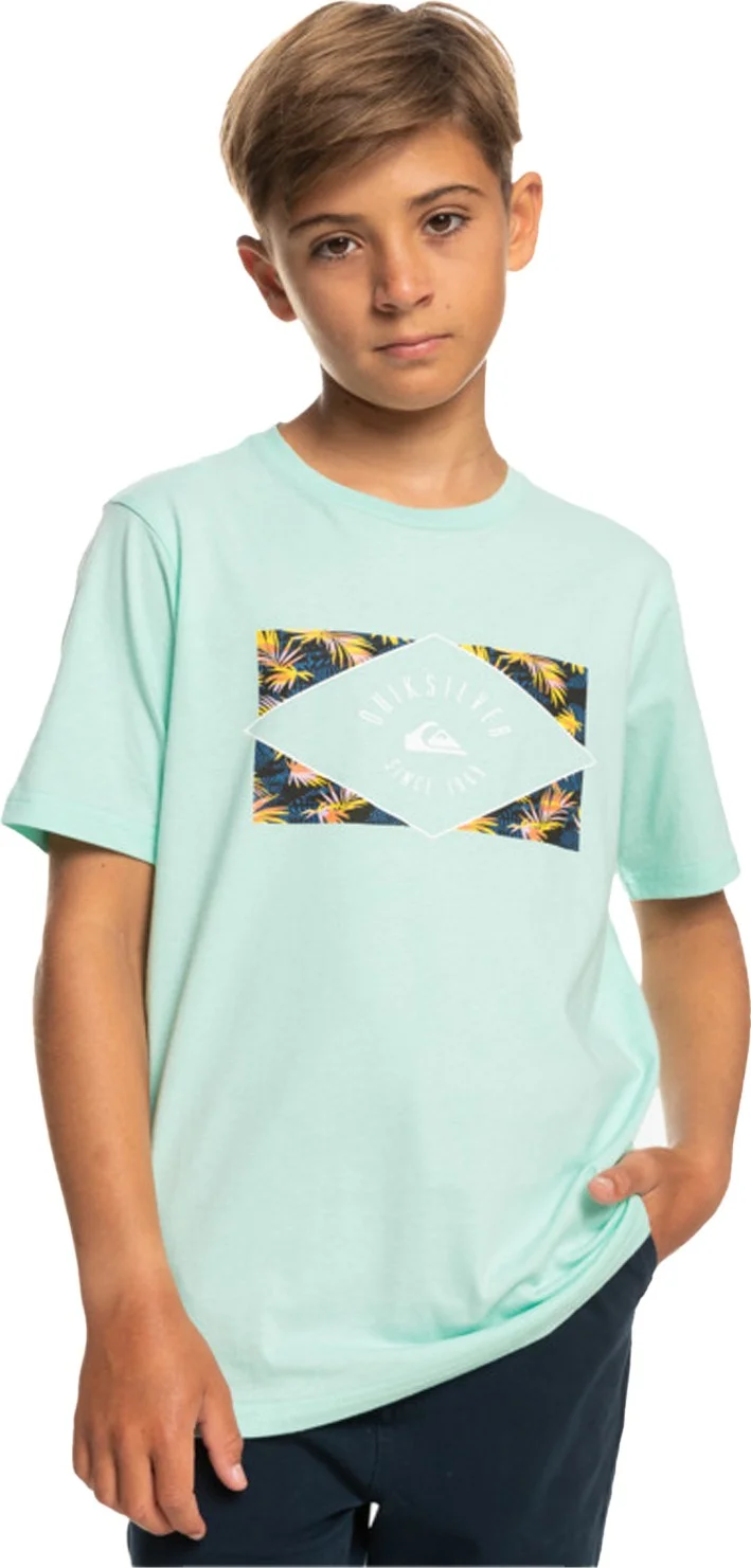 QUIKSILVER Circled Line Boy T-shirt EQBZT04590