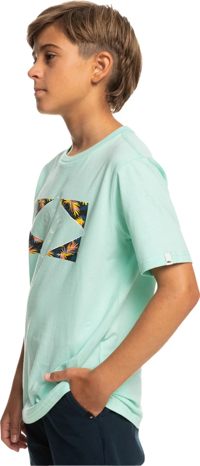 QUIKSILVER Circled Line Boy T-shirt EQBZT04590