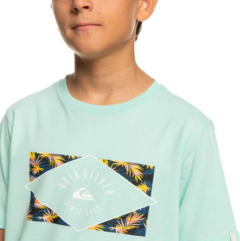 QUIKSILVER Circled Line Boy T-shirt EQBZT04590