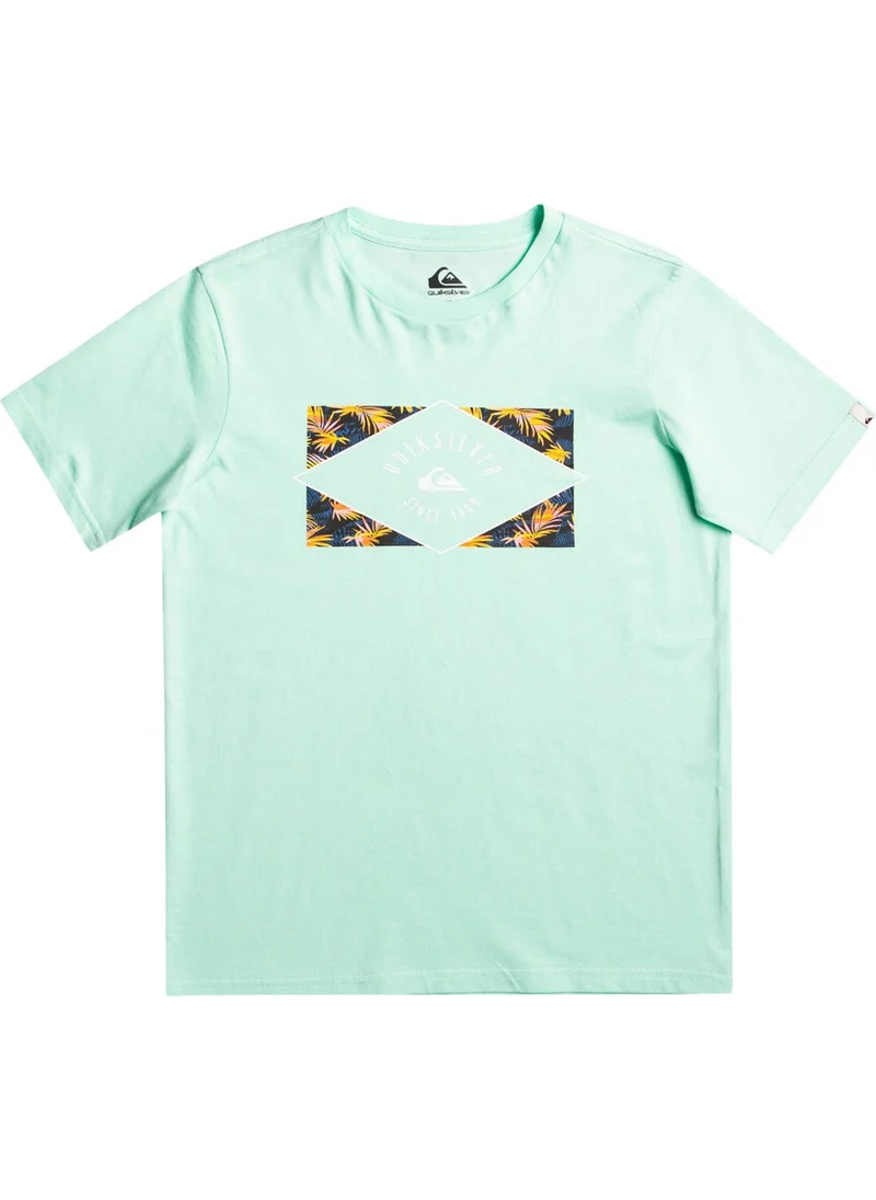 كويك سيلفر Circled Line Boy T-shirt EQBZT04590