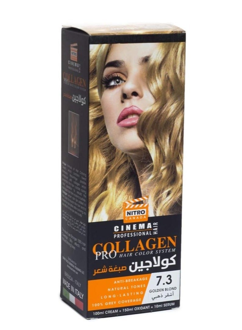 نيترو كندا كولاجين صبغة شعر لون  اشقر ذهبي 7.3 - Image 1