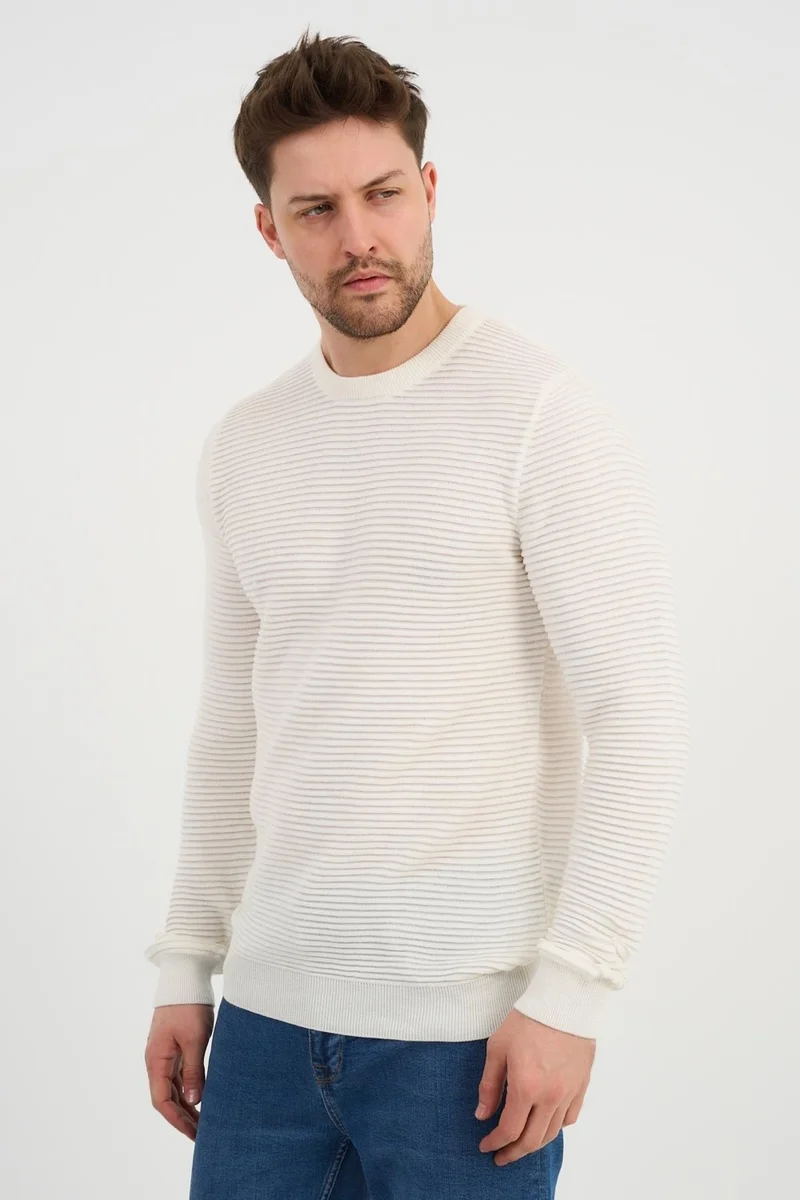 الكسندر جاردي Crew Neck Patterned SWEATER(E24-1112)