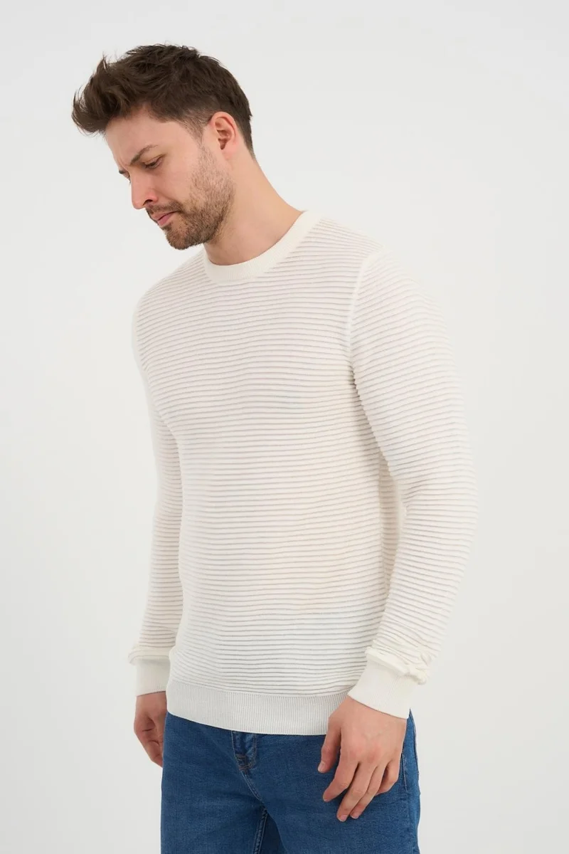 الكسندر جاردي Crew Neck Patterned SWEATER(E24-1112)
