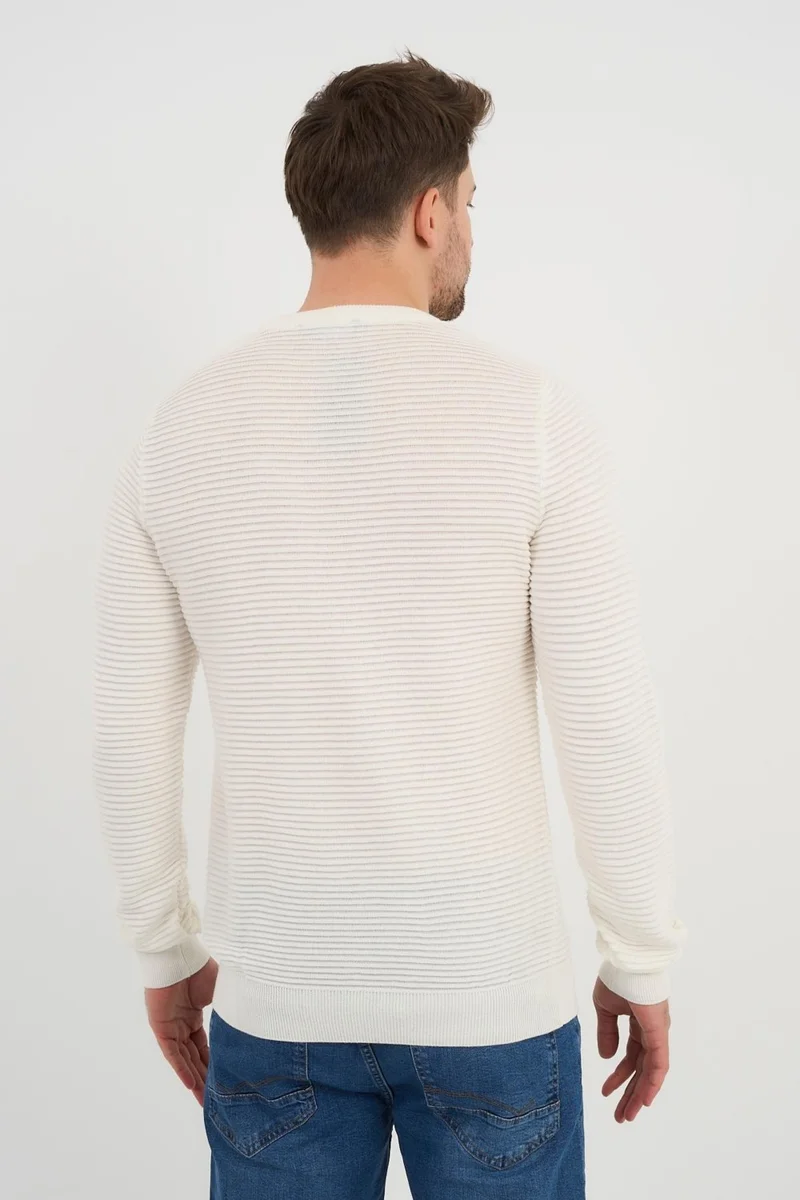 الكسندر جاردي Crew Neck Patterned SWEATER(E24-1112)