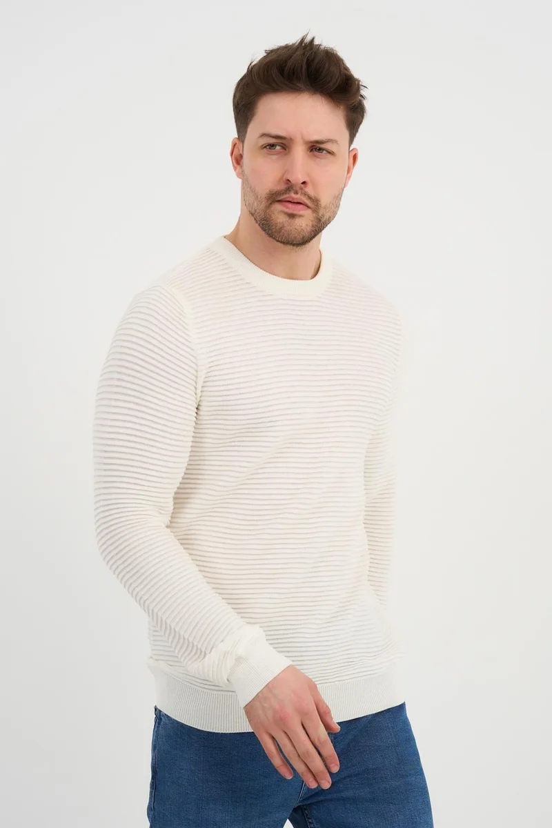 الكسندر جاردي Crew Neck Patterned SWEATER(E24-1112)