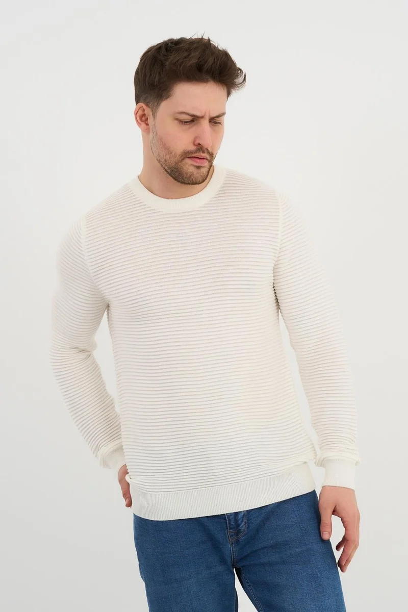الكسندر جاردي Crew Neck Patterned SWEATER(E24-1112)