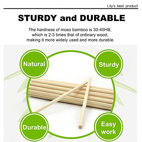 HOPELF 25PCS Wooden Dowel Rods - 1/4 x 6 Inch Bamboo Sticks - for Crafts, Cake Dowels and DIY Projects - Image 3