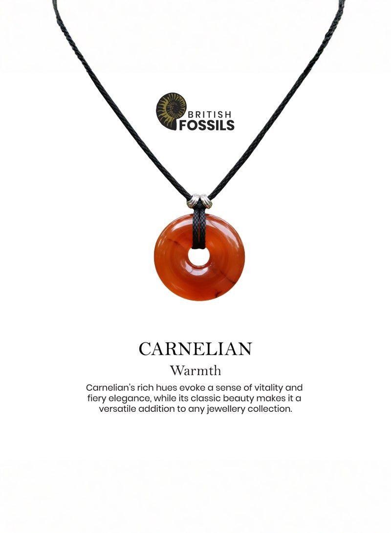 British Fossils Donut Pendant 6Mm Carnelian Necklace - Image 4