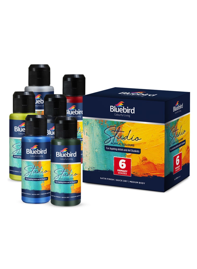 Bluebird Acrylic Paint Primary Colors Student DIY Painting Pack Non-Toxic Art & Craft for Artists, Kids, Adults & Hobby Painters (Primary Colours, 100ML - Set of 6) - Image 2