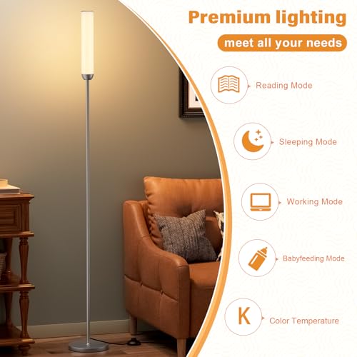 Ambimall LED Floor Lamp with Remote Control, 65" Standing lamp with Stepless Adjustable 3000K-6500K Colors & 30-100% Brightness, Foot Switch(Deep Grey) - Image 3