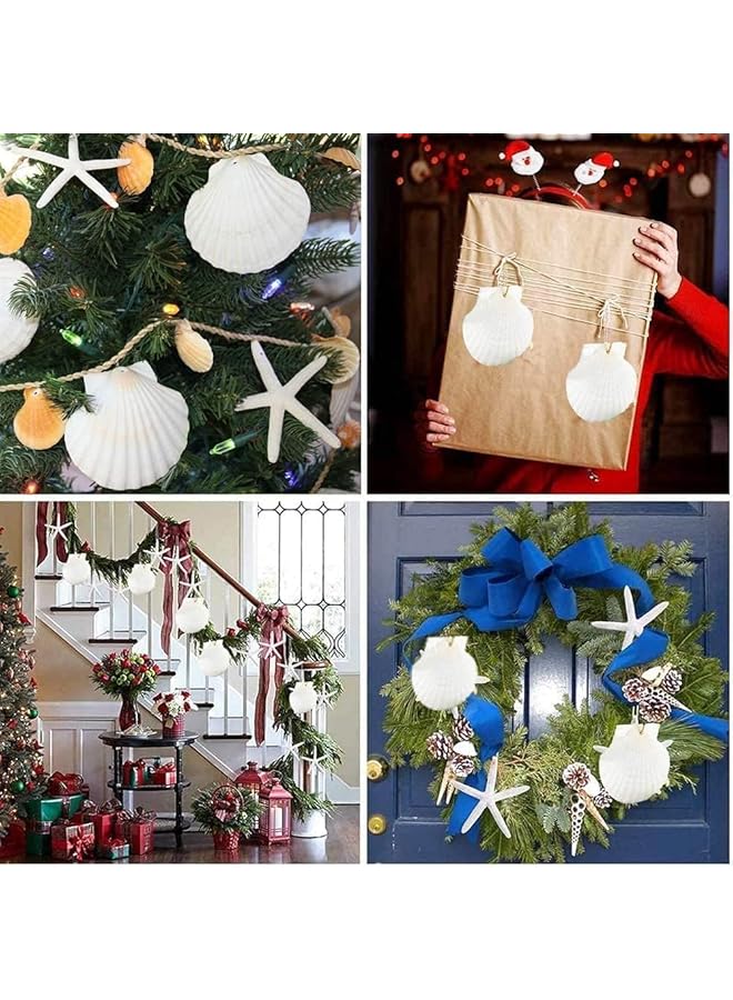 erorex Scallop Shells For Serving Food 6Pcs Baking Shells Large White Natural Seashell From Sea Beach For Diy Craft Mermaid Beach Wedding Home Decoration 10 11Cm - Image 5