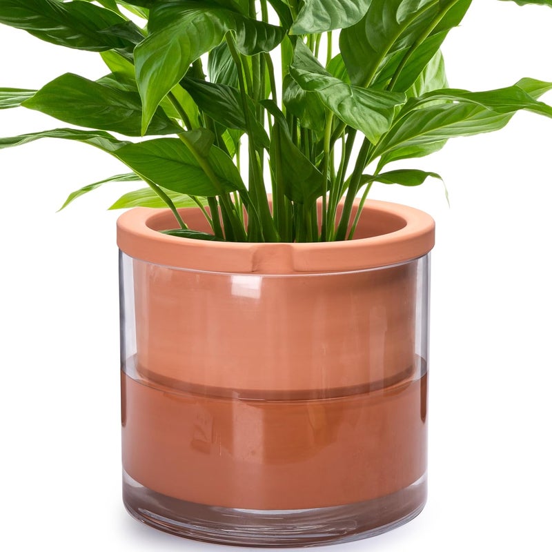 Phoenix Vine 10 Inch Self Watering Planter, White Terracotta Pot for Plants, Indoor Cylinder Terra Cotta Pot with Glass Vase - Image 1