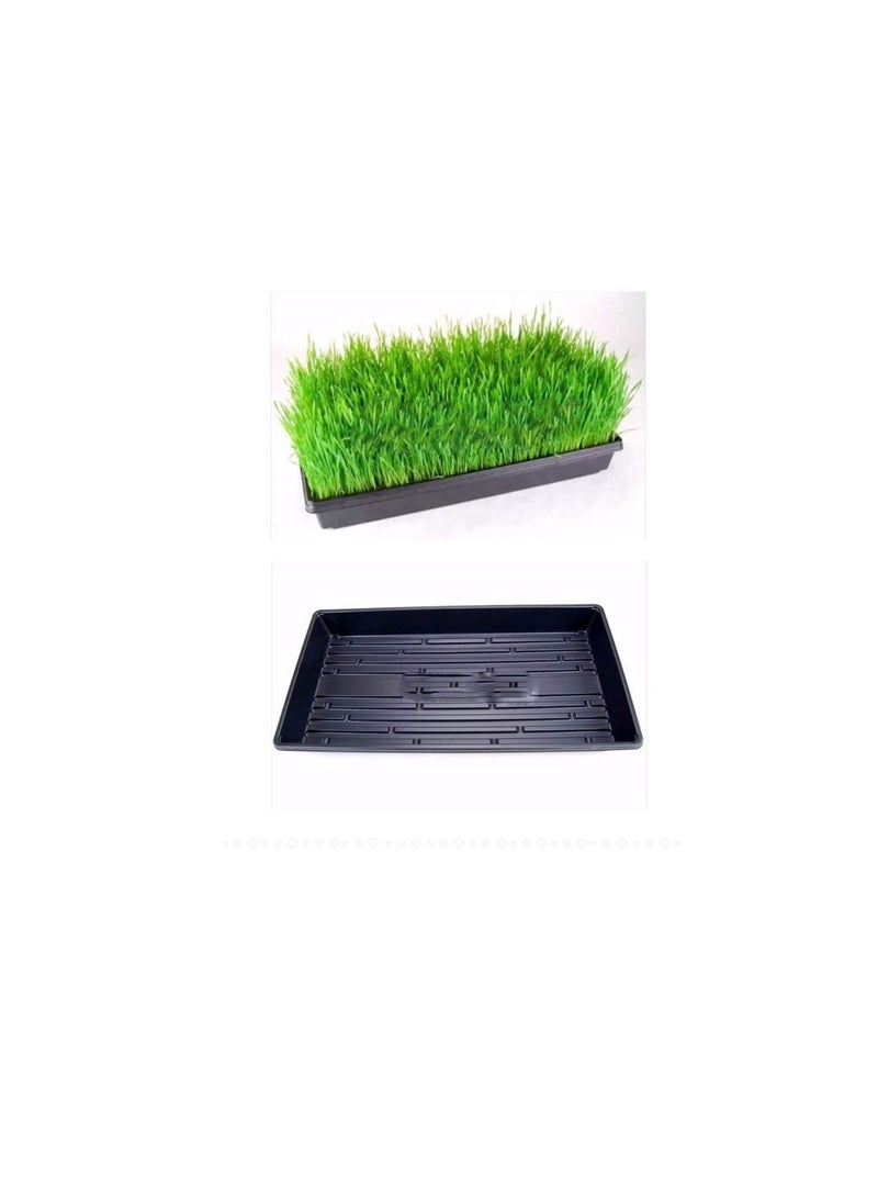 Generic Pack of 10 Reusable Thick Seed Starter Trays, Strong Plant Growing Kit Without Drain Holes for Cloning Gardening Countertop Sprouts Herbs  - Image 3