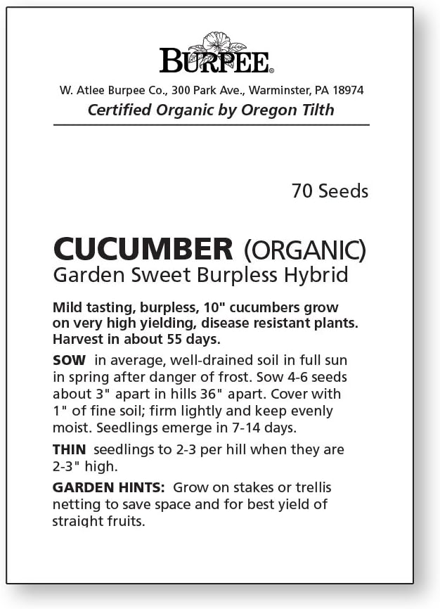 Burpee Sweet Burpless Slicing Cucumber Seeds 70 seeds - Image 3