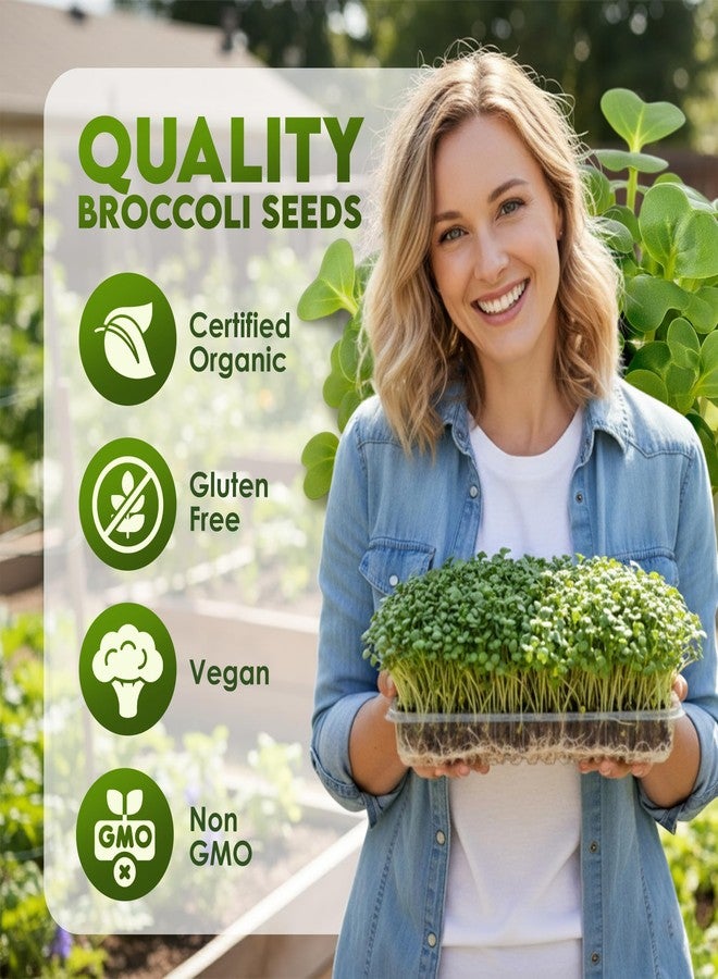 Nature Jims Sprouts Organic Broccoli Seeds for Sprouting - Certified Non-GMO, Rich in Sulforaphane, Swift-Growing Microgreen Seeds for Nutritious Broccoli Sprouts - Ideal for Indoor/Outdoor Use - 8oz - Image 2