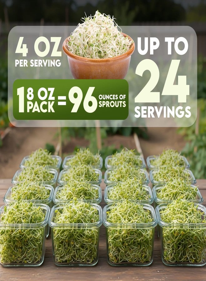 Nature Jims Sprouts Organic Broccoli Seeds for Sprouting - Certified Non-GMO, Rich in Sulforaphane, Swift-Growing Microgreen Seeds for Nutritious Broccoli Sprouts - Ideal for Indoor/Outdoor Use - 8oz - Image 3