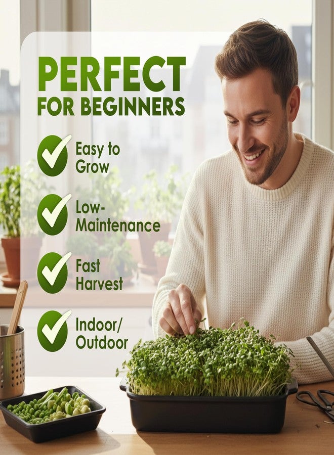 Nature Jims Sprouts Organic Broccoli Seeds for Sprouting - Certified Non-GMO, Rich in Sulforaphane, Swift-Growing Microgreen Seeds for Nutritious Broccoli Sprouts - Ideal for Indoor/Outdoor Use - 8oz - Image 4