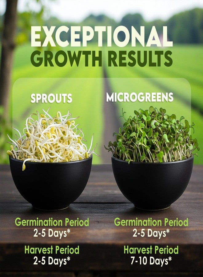 Nature Jims Sprouts Organic Broccoli Seeds for Sprouting - Certified Non-GMO, Rich in Sulforaphane, Swift-Growing Microgreen Seeds for Nutritious Broccoli Sprouts - Ideal for Indoor/Outdoor Use - 8oz - Image 5
