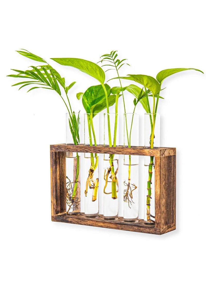 Generic Plants Propagation Stations, Wall Mounted Test Tube Vase with Wooden Stand, 5 Planter Glass Vase for Home and Office - Image 1