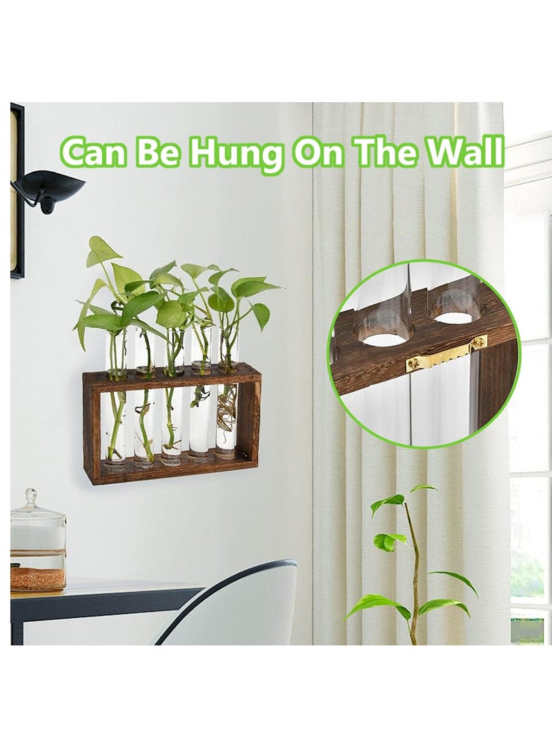 Generic Plants Propagation Stations, Wall Mounted Test Tube Vase with Wooden Stand, 5 Planter Glass Vase for Home and Office - Image 2
