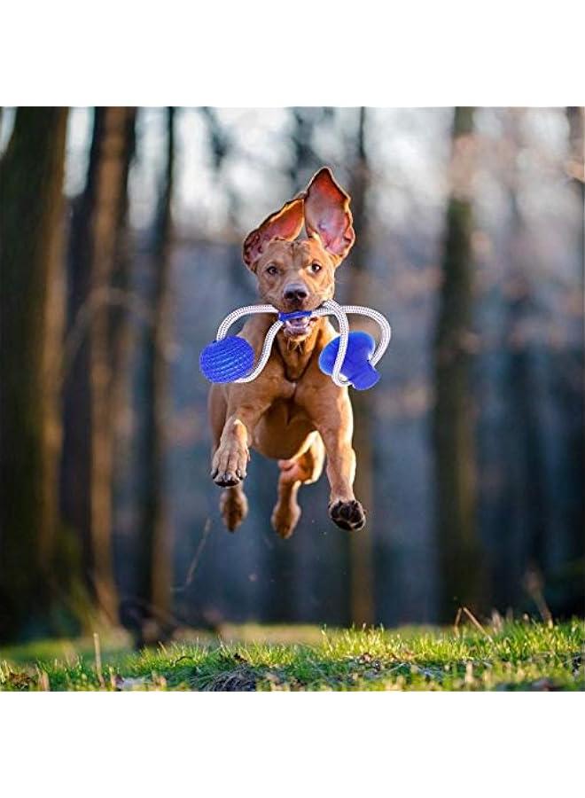 لعبة مطاطية للكلاب بحبل قاعدة تثبيت - للشد والسحب والمضغ واللعب - Image 4