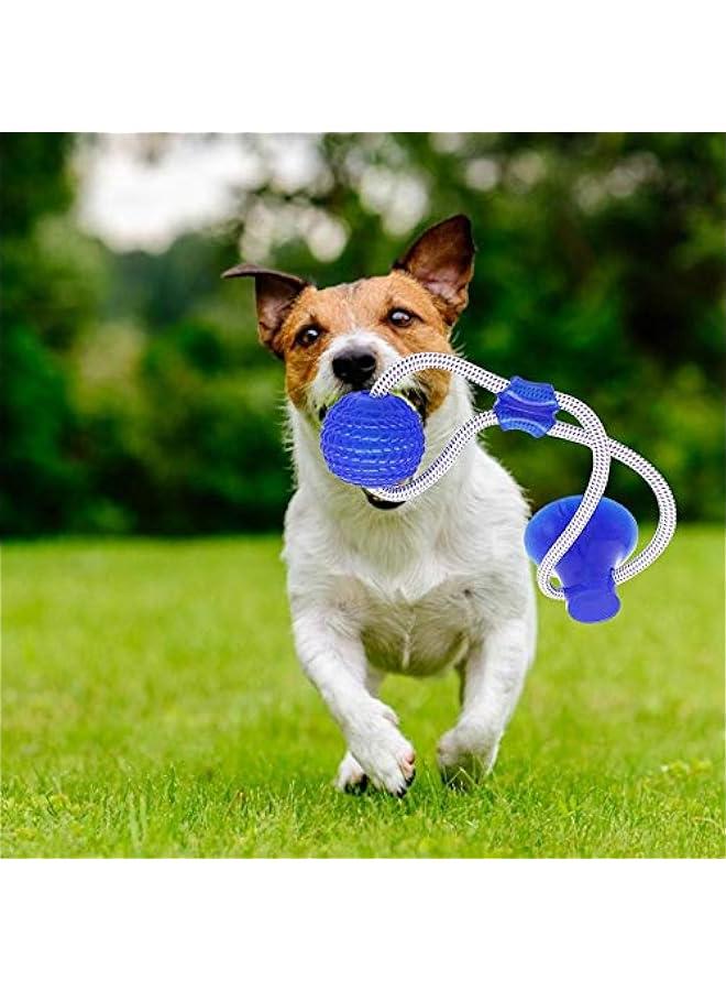 لعبة مطاطية للكلاب بحبل قاعدة تثبيت - للشد والسحب والمضغ واللعب - Image 2