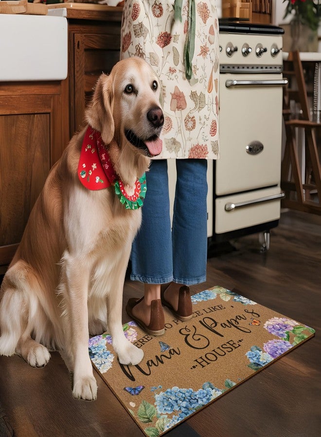 XLDLIOO Nana and Papa Gifts Funny Door Mat, Funny Welcome Front Door Mat Indoor Outdoor Entrance, Gifts for Nana and Papa Artificial Coir Doormats Rugs for Porch Entryway Decor 30x17in - Image 4