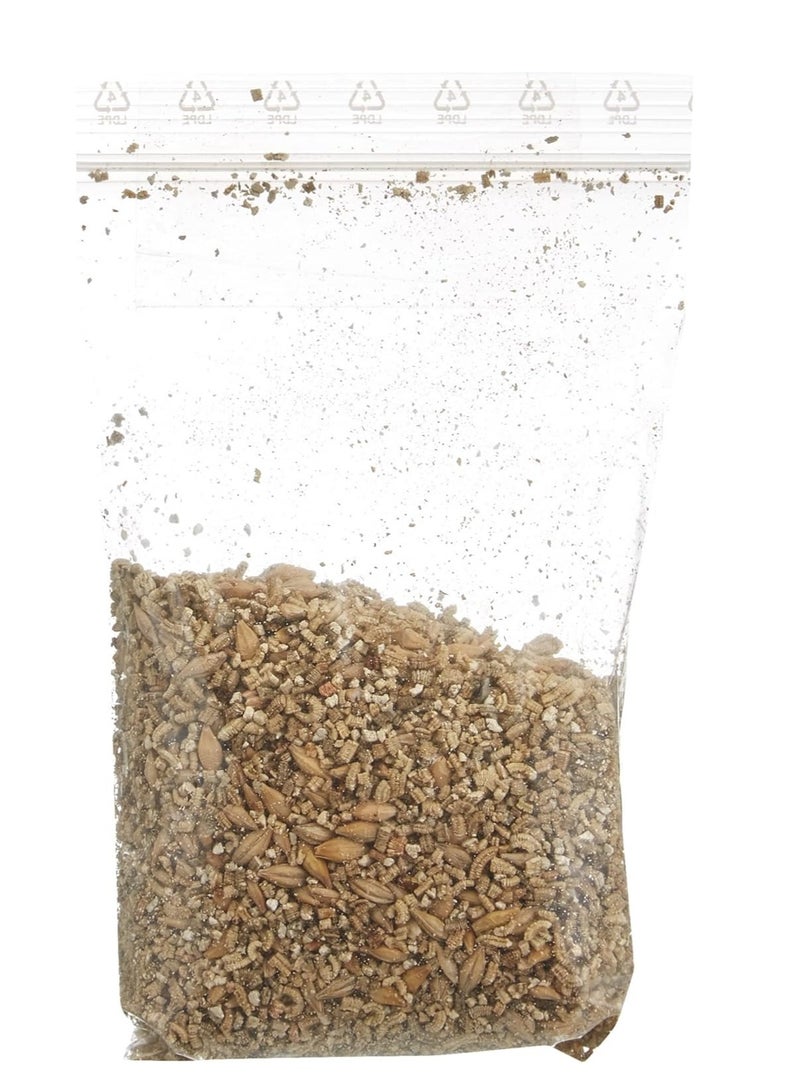 تريكسي عشبة القطط في وعاء سيراميك للقطط 50 جرام - Image 4