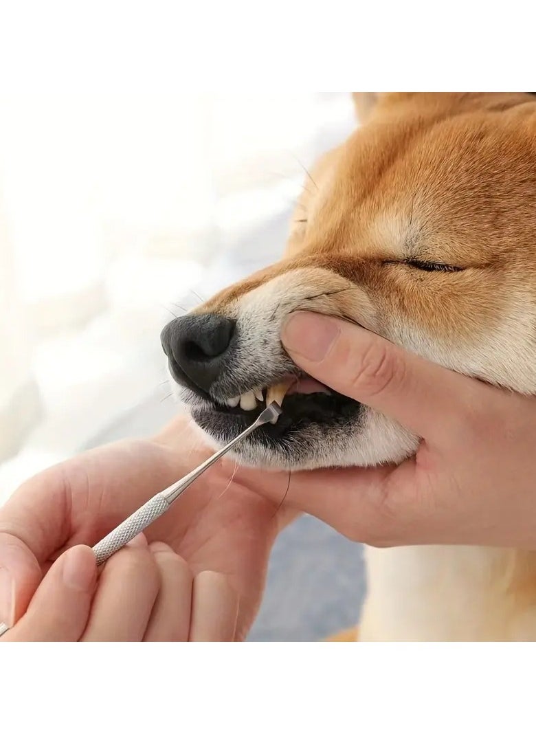 Goolsky Keep Your Pet's Teeth Clean & Healthy With Our Double-Sided Tartar Remover!  - Image 1