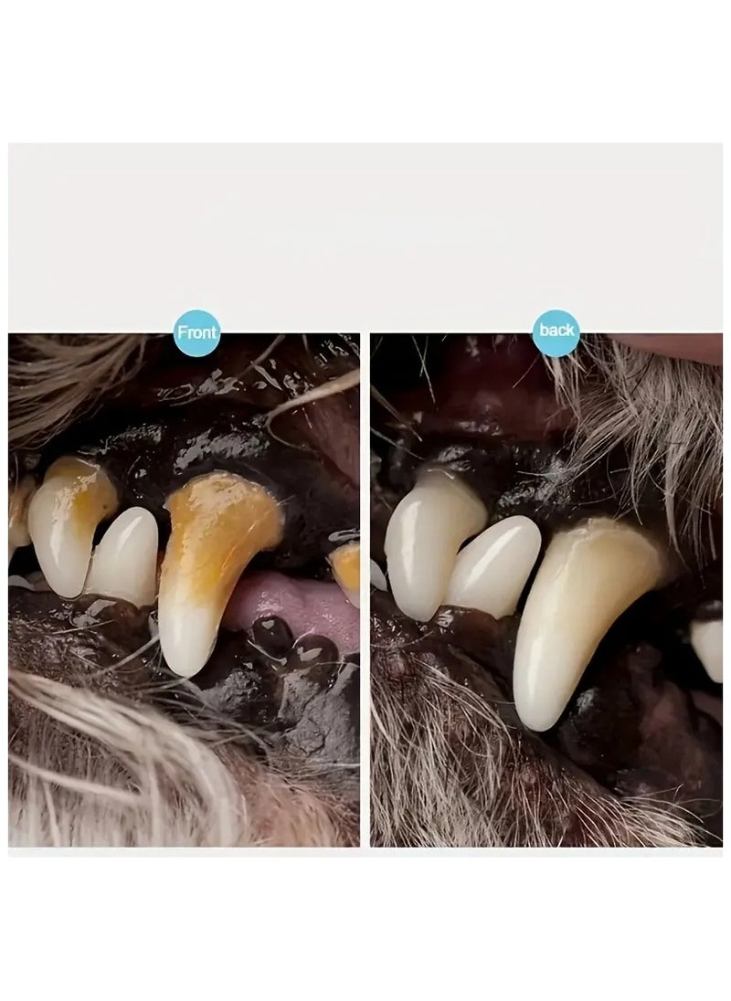 Goolsky Keep Your Pet's Teeth Clean & Healthy With Our Double-Sided Tartar Remover!  - Image 5