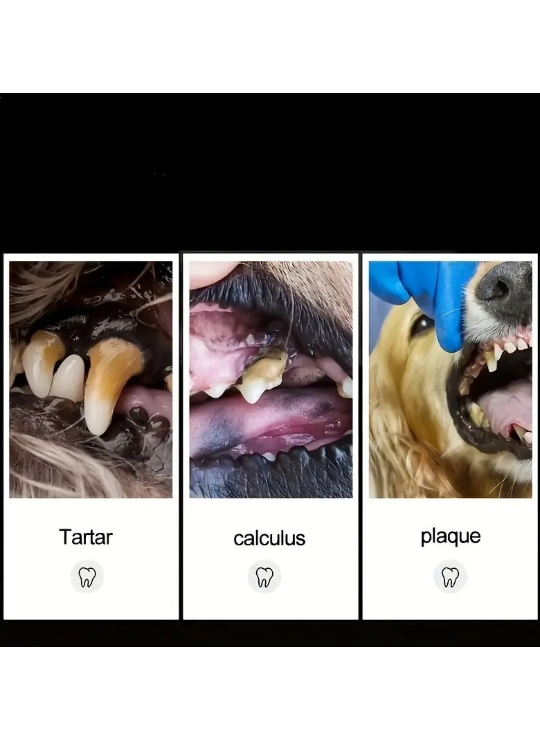 Goolsky Keep Your Pet's Teeth Clean & Healthy With Our Double-Sided Tartar Remover!  - Image 3
