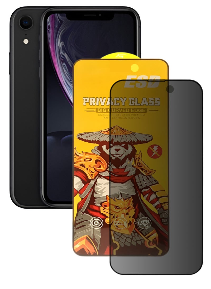 ESD Tempered Dustproof Privacy Glass Screen Protector Compatible For iPhone XR - Image 1