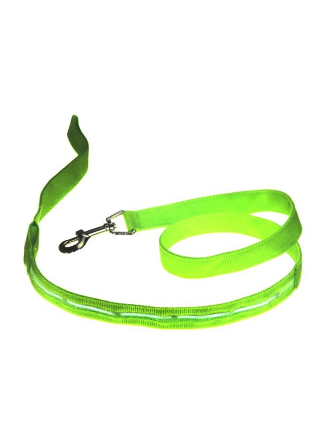 NIBEMINENT Nylon Dog Belt Green 120cm - Image 1