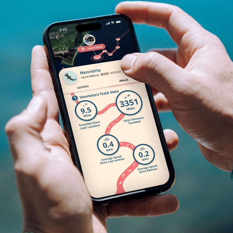 Fahlo Shark Tracking Bracelet â€“ Track a Real Sharkâ€™s Journey â€“ Supports Wildlife Conservation â€“ Elastic, One Size Fits Most â€“ on Interactive Mobile App Map â€“ Unisex Ocean Conservation Gift (Coral Reef Pink) - Image 3