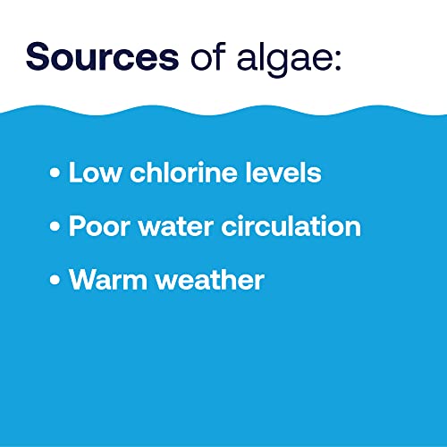 HTH 67289 Swimming Pool Care Algae Guard Ultra, Swimming Pool Chemical, Long Lasting Formula, 32 fl oz - Image 5