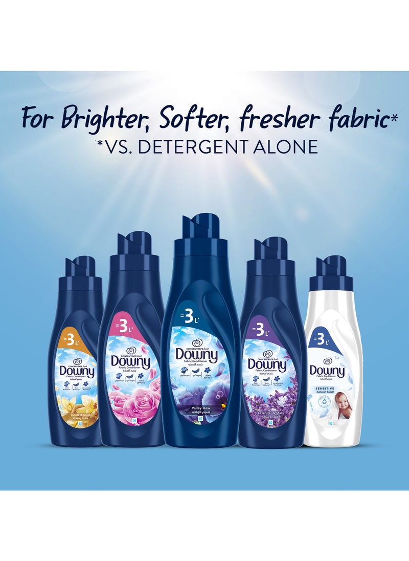 Downy - Vanilla And Musk Variant Fabric Conditioner For More Softness 1L - Image 1