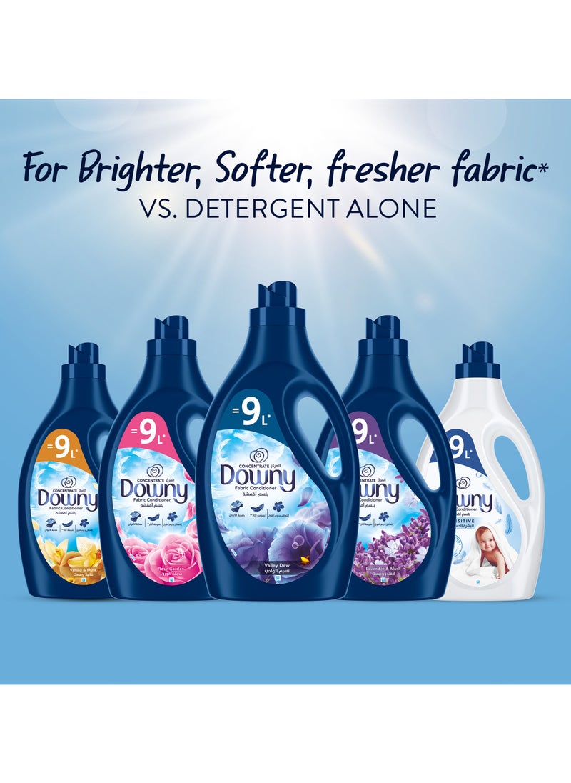 Downy - Vanilla And Musk Variant Fabric Conditioner For More Softness 1L - Image 1