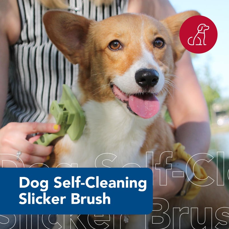 Coastal Pet Safari Dog Self-Cleaning Slicker Brush - Dog Deshedding Brush - Prevents Mats and Tangled Hair - For Dogs with Short or Long Hair - Large - 8" x 4.5" - Image 2