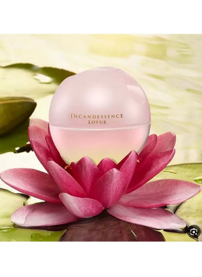 AVON Incandessence Lotus for Women - Avon - 50 ml  - Image 4