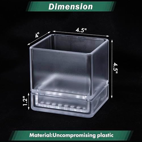 D'vine Dev 4 Inch Herb Planter Pot, Plastic Planter with Drainage Holes and Saucer, Modern Decorative Gardening Pot for Indoor Plants, Flowers, Herbs, Succulents, Clear, Set of 6, 76-Y-D-6 - Image 2
