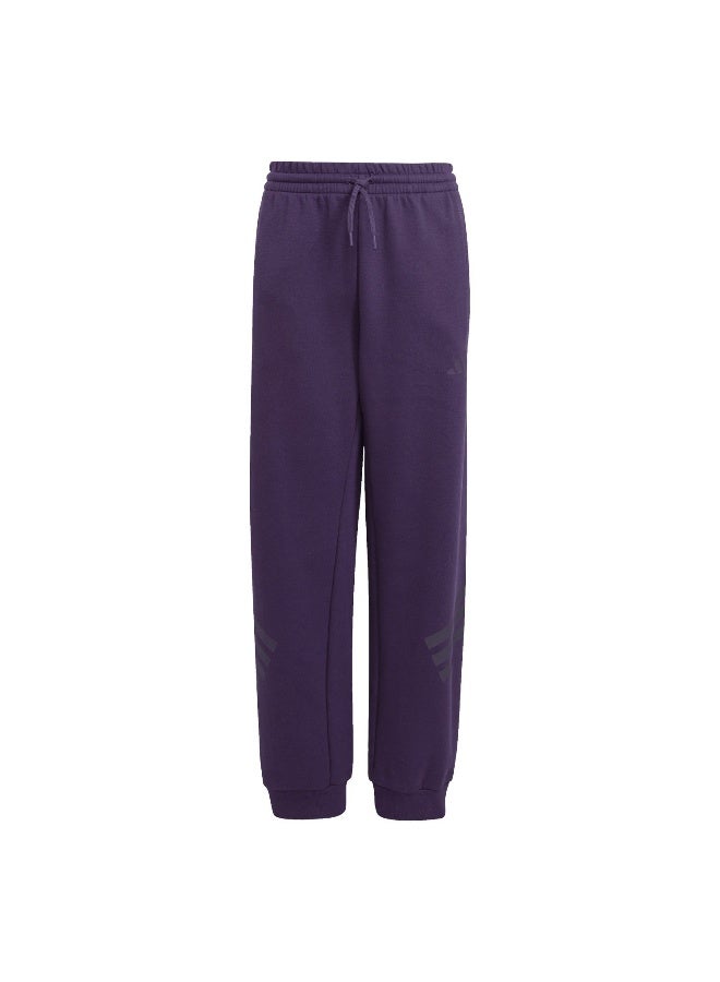 Adidas Adidas J Fi 3S Wide Pt Purple Pants (1/1) Pants For Kids - Image 1