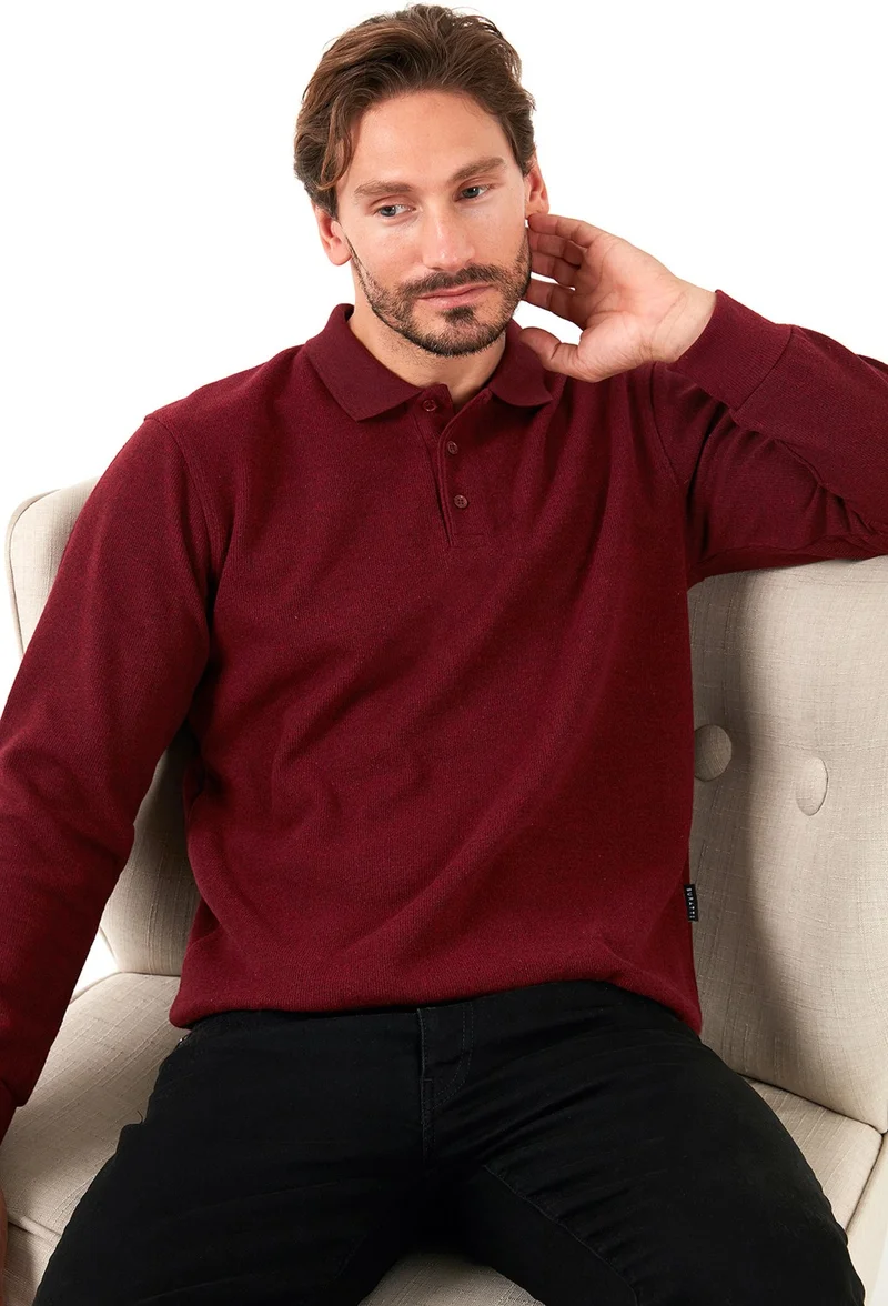 بوراتي Cotton Blend Regular Fit Polo Neck Sweater Men's Sweater 456223